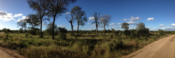 Blue skies over Kruger National Park
