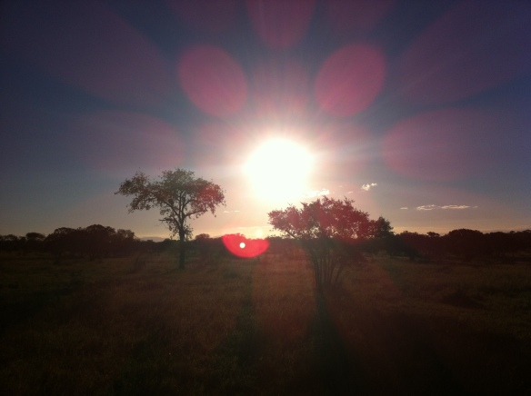 Sunset over Kruger National Park